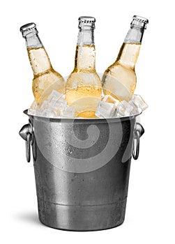 Beer Bottles in Bucket with ice cubes isolated on