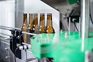 Beer Bottles On Conveyor Belt in Bottling Plant