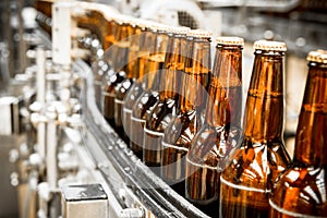 Beer bottles on the conveyor belt photo