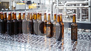 Beer bottles on the conveyor belt. Shallow dof. Selective focus.