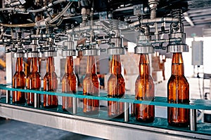 Beer bottles filling on the conveyor belt in the brewery factory