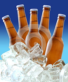 Beer bottles on ice