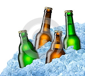 Beer bottles on ice