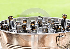 Beer bottles on ice bucket with green grass background