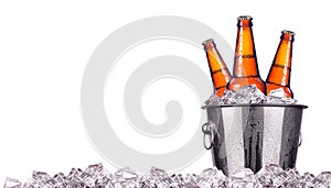 Beer bottles in ice bucket isolated