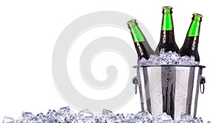 Beer bottles in ice bucket isolated on white