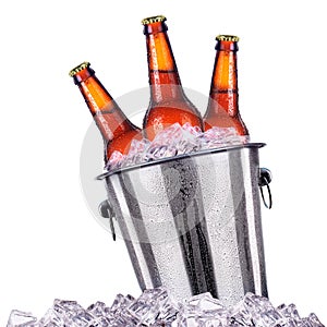 Beer bottles in ice bucket isolated on white