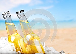 Beer bottles with ice on light background