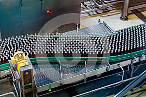 Beer bottles moving on conveyor belt, close up