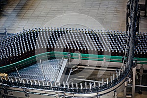 Beer bottles moving on conveyor belt, close up