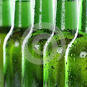 Beer in bottles with water drops