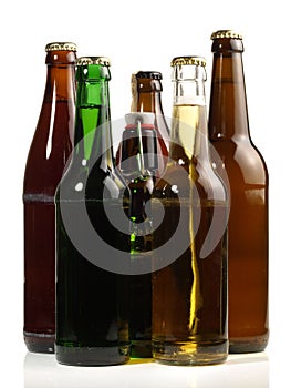 Beer Bottles on white Background - Isolated