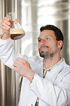 Beer brewer in his brewery examining