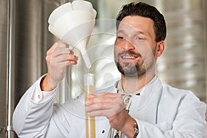 Beer brewer in his brewery examining