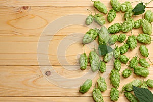 Beer brewing ingredients Hop cones on light wooden table. Beer brewery concept. Beer background. Top view with copy space