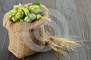 Beer brewing ingredients Hop cones in sack and wheat ears on dark wooden background. Beer brewery concept. Beer background