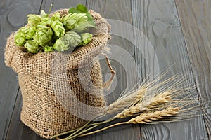 Beer brewing ingredients Hop cones in sack and wheat ears on dark wooden background. Beer brewery concept. Beer background