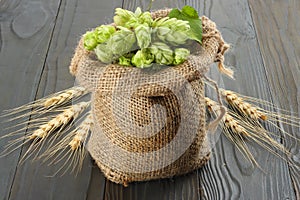 Beer brewing ingredients Hop cones in sack and wheat ears on dark wooden background. Beer brewery concept. Beer background