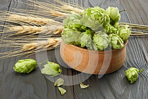 Beer brewing ingredients Hop cones and wheat ears on dark wooden table. Beer brewery concept. Beer background