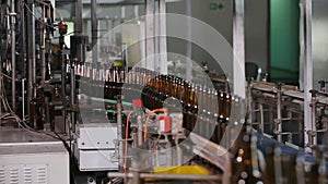 Beer brown bottles move along the conveyor belt