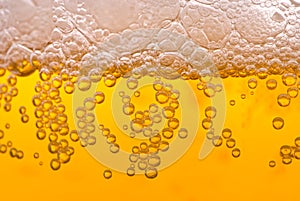 Beer bubbles photo