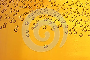 Beer bubbles