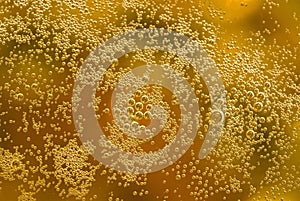 Beer bubbles