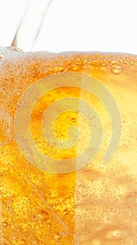 Beer Bubbles.