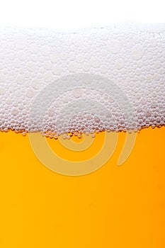 Beer bubbles