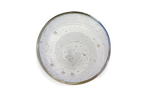 Beer bubbles in a glass of white circles