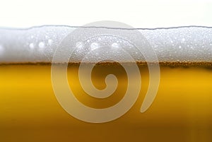 Beer photo