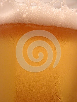 Beer closeup