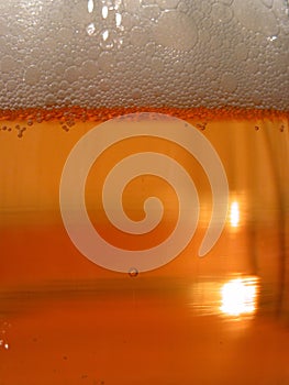 Beer closeup