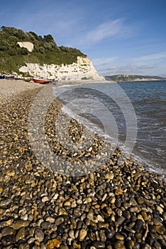 Beer coastline