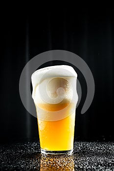 Beer. Cold Craft light Beer in a glass with water drops. Pint of Beer into a tall glass with a thick foam