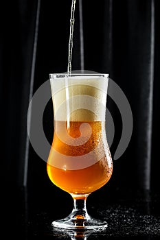 Beer. Cold Craft light Beer in a glass with water drops. Pint of Beer into a tall glass with a thick foam