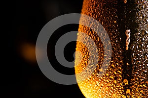 Beer. Cold Craft light Beer in a glass with water drops on the wooden table over the black background