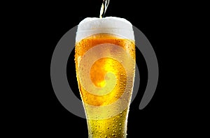 Beer. Cold Craft light Beer pouring in a glass with water drops. Pint of Ale Beer close up isolated on black background, closeup