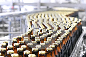 Beer filling in a brewery - conveyor belt with glass bottles