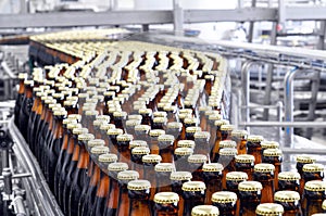 Beer filling in a brewery - conveyor belt with glass bottles