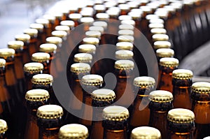 Beer filling in a brewery - conveyor belt with glass bottles