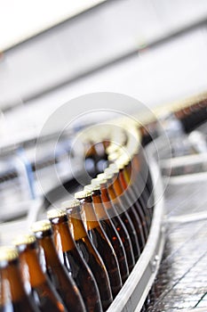 Beer filling in a brewery - conveyor belt with glass bottles