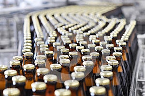 Beer filling in a brewery - conveyor belt with glass bottles