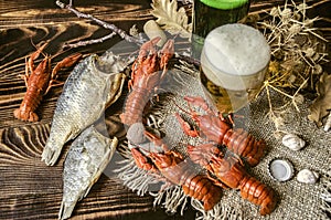Beer with foam in glass and dried salted fish and with boiled red crayfish