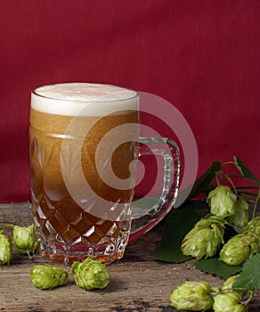 Beer with foam is poured into a large glass mug, red background and hop plants nearby