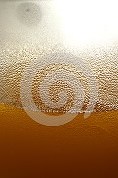 Beer foam texture
