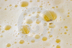 Beer Froth photo