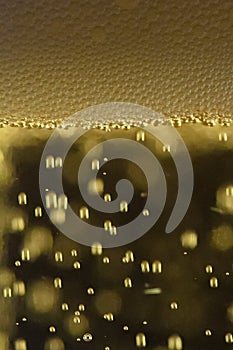 Beer froth close-up