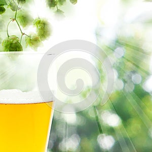 Beer glass on abstract sof focus background photo