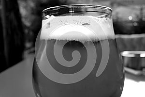 Beer glass close up in black and white